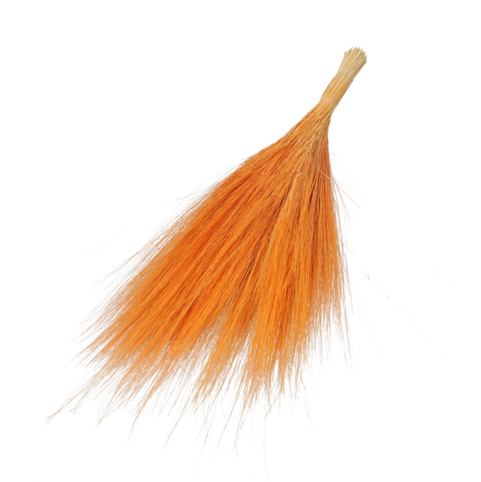 <h4>Dried flowers Goat grass 65-70cm</h4>