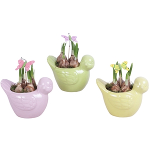 Early Spring Arr. Narcis Ceramic Bird Gr/Pi/Ye Ø18cm 1PP