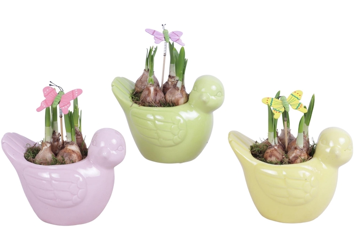 <h4>Early Spring Arr. Narcis Ceramic Bird Gr/Pi/Ye Ø18cm 1PP</h4>