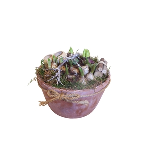 Arr.   Bol/Knolgewas L%