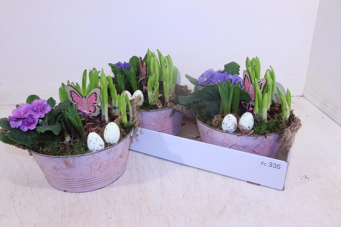 <h4>ARR TUINPLANTEN</h4>