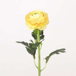 AF Ranunculus L51cm Yellow