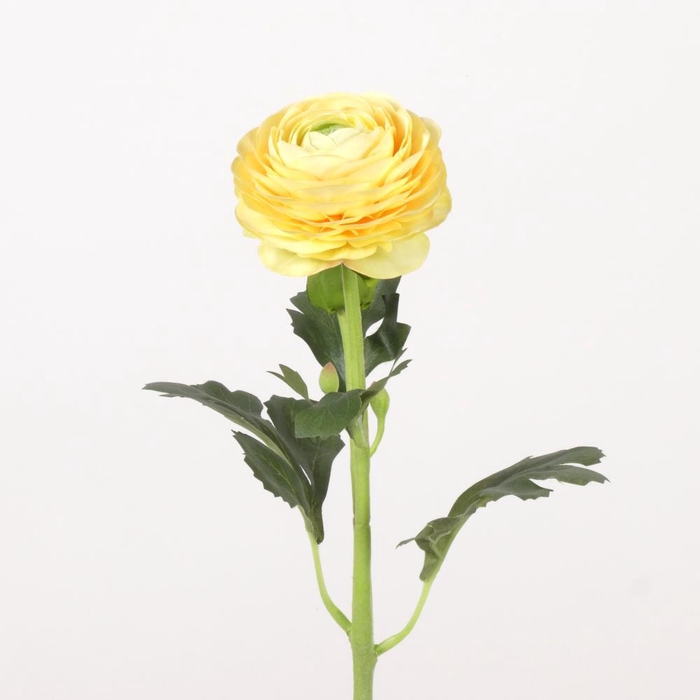 <h4>AF Ranunculus L51cm Yellow</h4>
