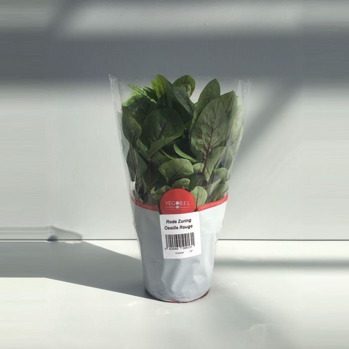 <h4>Zuring Rood P12</h4>