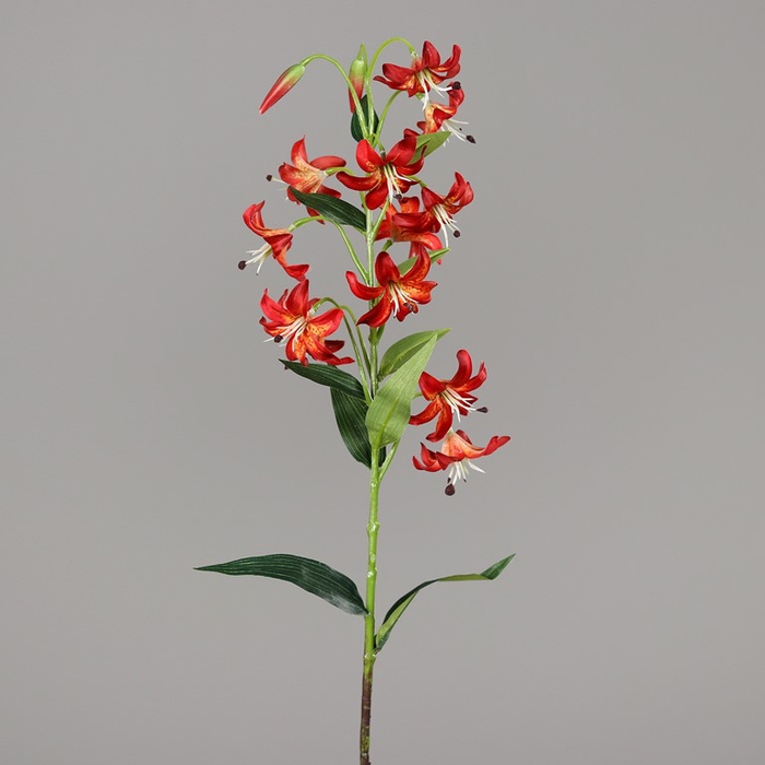 <h4>Lilium 65 cm orange red</h4>