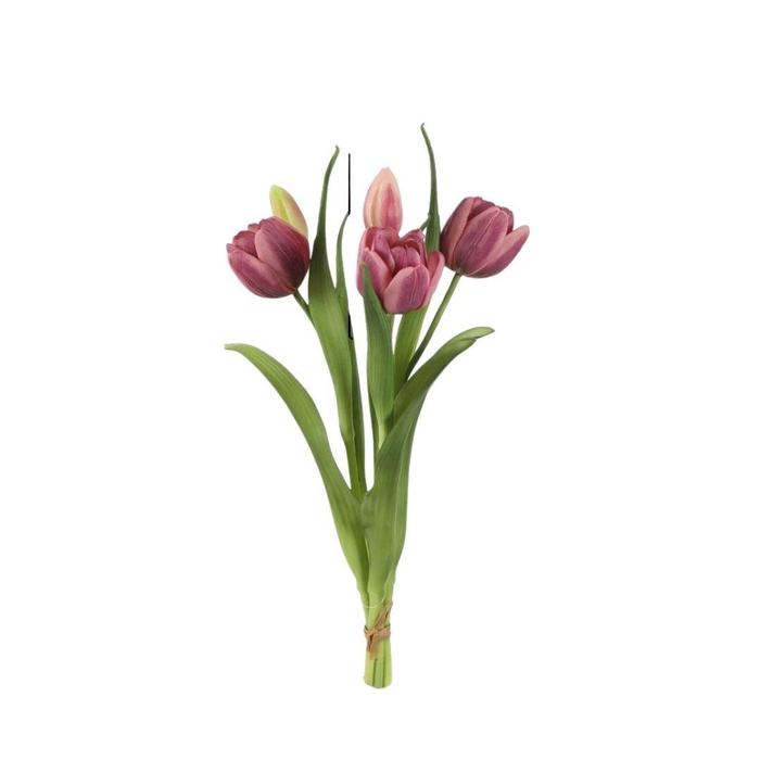 <h4>Tulipa boeket 43cm x5</h4>