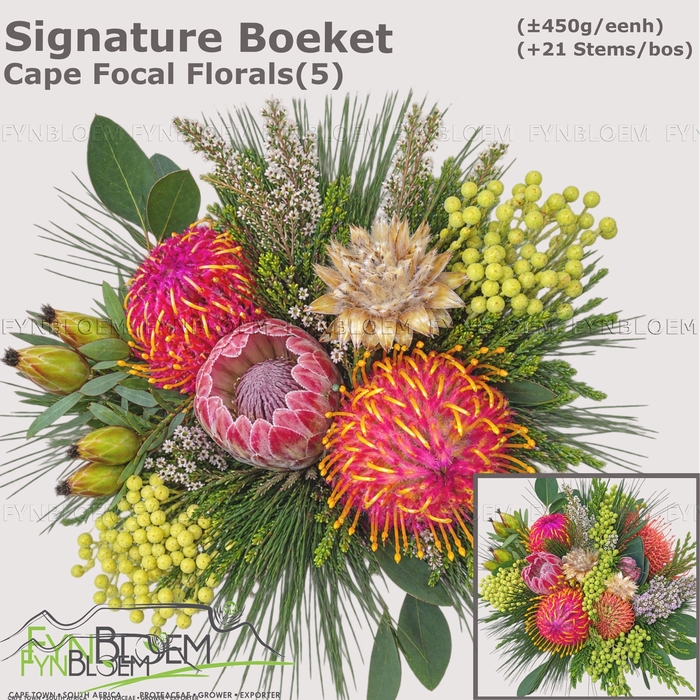 <h4>PROTEA PER BOS</h4>