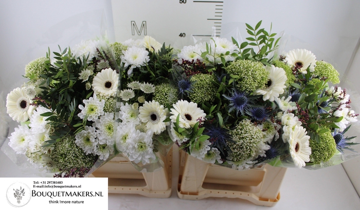 <h4>GEM BOEKET OV</h4>