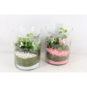 arr2 PL - Glas bose vaas x4 - roze/wit