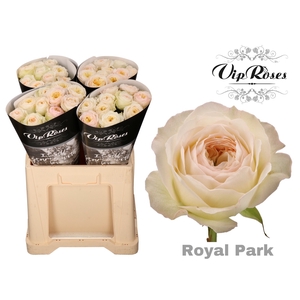 R GR ROYAL PARK