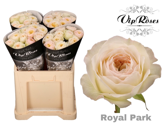 R GR ROYAL PARK