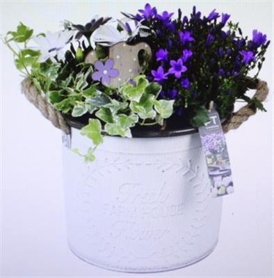 <h4>2470 Witte Zink Hoog</h4>