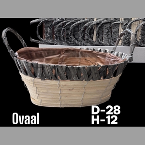 MAND OVAAL+OREN D28XH12