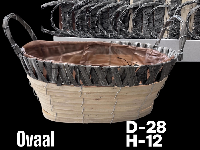 <h4>MAND OVAAL+OREN D28XH12</h4>