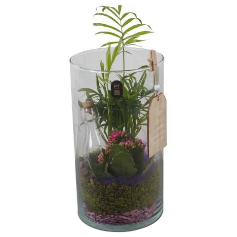 <h4>PTIG2674 Arrangement Indoor in glazen vaas</h4>