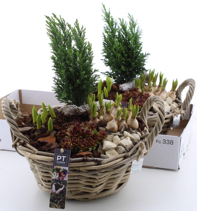 <h4>ARR PL IN SCHAAL</h4>