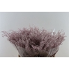 Lep Klbh Metallic Pink