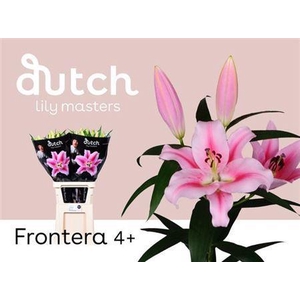 Li Ot Frontera