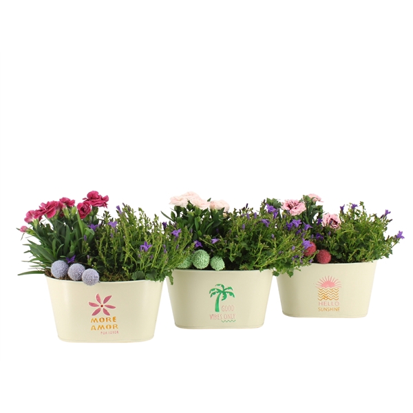 <h4>31605: Outdoor summer arrangement</h4>