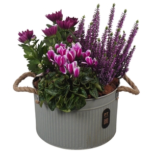 Arr.   Tuinplanten H%