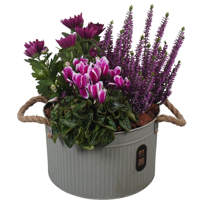 <h4>Arr.   Tuinplanten H%</h4>