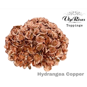 Hydr M Copper