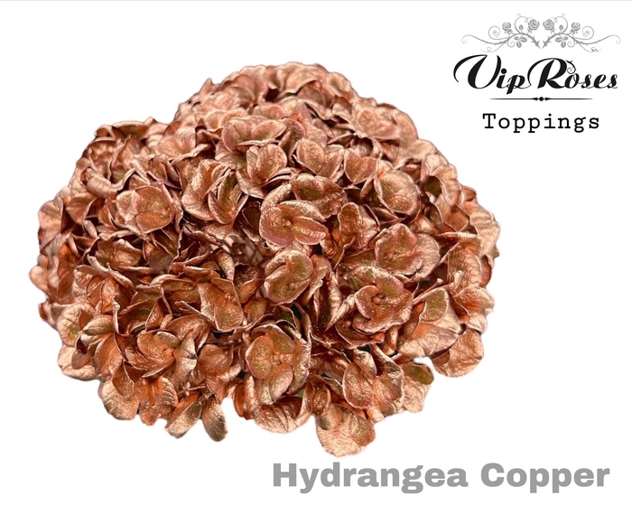 <h4>HYDR M COPPER L80cm</h4>