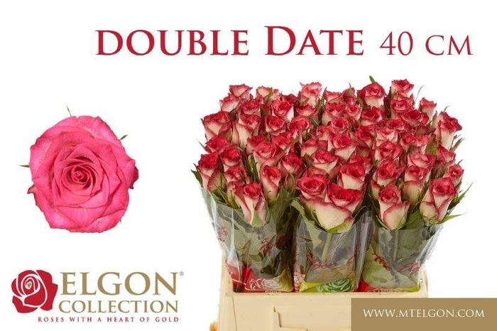 <h4>R GR DOUBLE DATE!</h4>