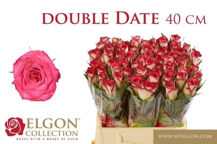 <h4>R GR DOUBLE DATE!</h4>