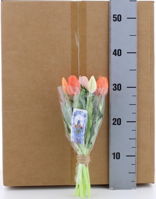 <h4>HUIS EN TUINDECO H%</h4>