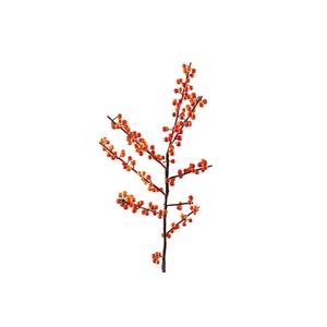 Ilex Berry Spray Orange XM660065ORA