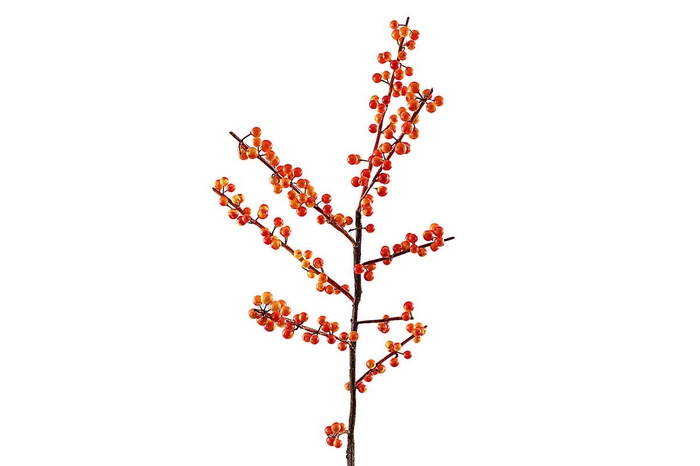 <h4>Ilex Berry Spray Orange XM660065ORA</h4>