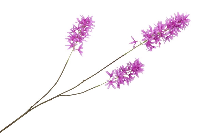 <h4>Silk Wisteria Purple 93cm Nm</h4>