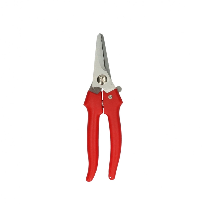 <h4>Knippen Hobbyschaar 19cm</h4>