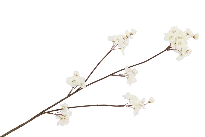 <h4>Silk Cherry Blossom White 85cm</h4>