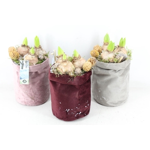 arr4 Hyacint JS - Katoen zak mix