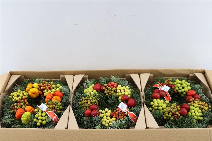 Wr Sierfruit Advent Christmas 30cm (anttar)