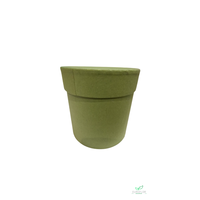 <h4>BOX D12 H12 GREEN</h4>