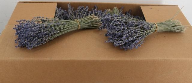 <h4>DF LAVANDER BS 80GR</h4>