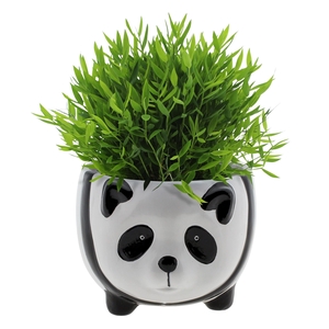 Bambusa Pogonatherum 'Monica in Panda keramiek