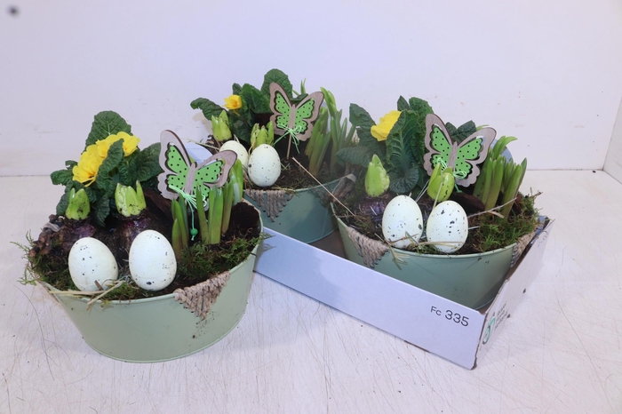 <h4>ARR TUINPLANTEN</h4>