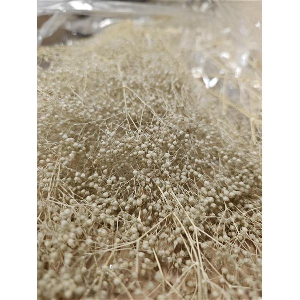 <h4>GESTABILISEERD GYPS MILLION STAR BEIGE</h4>