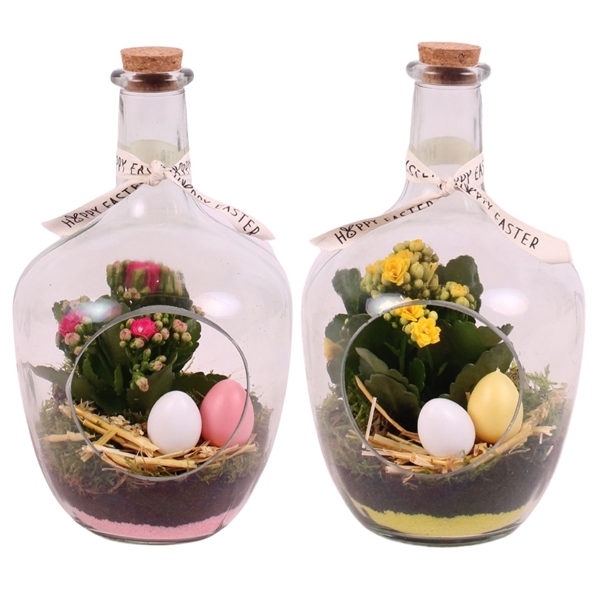 <h4>Easter Arr. Indoor Glass Vase with Hole Ø15cm 1PP</h4>