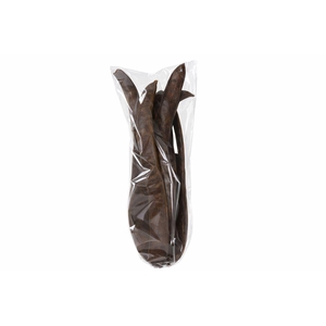 Giant Bean 6 Bundle