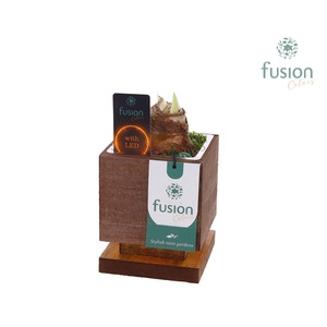 The Green Lighting Garden LED Small met Amaryllis