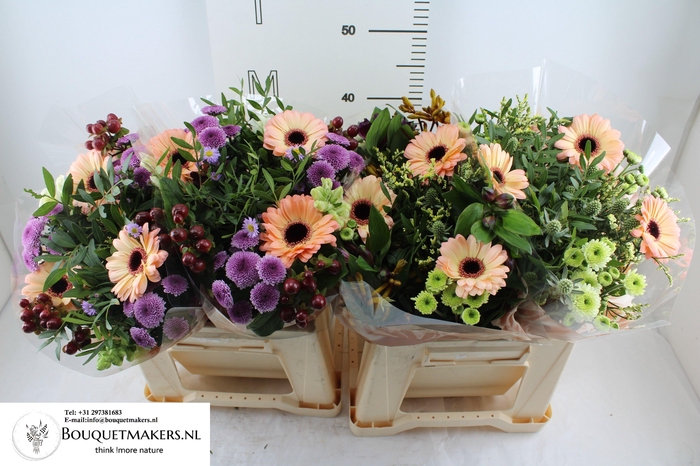 <h4>GEM BOEKET OV</h4>