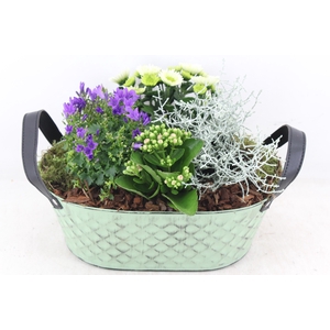 arr4 Outdoor PL - Zink old green ovaal