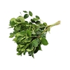 Salal Tips Cult Per Tak 60cm
