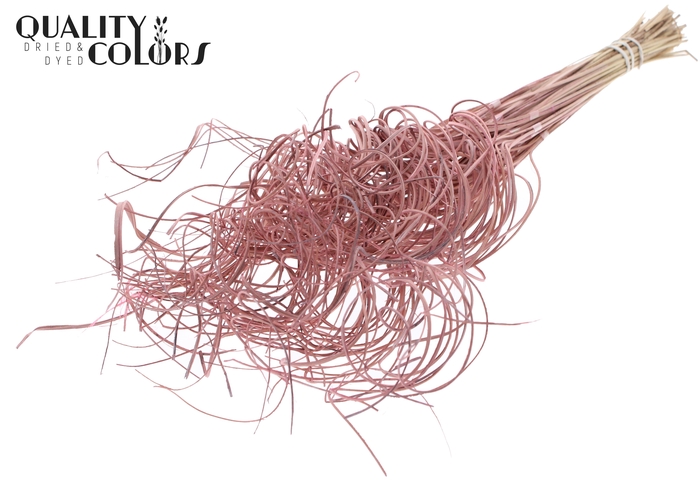 Palm Curly TT 3pc/tuft - 33 tuft/bunch Frosted Light Pink