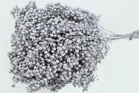 <h4>Schinus M Pt Silver Bunch</h4>